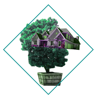 house in a tree