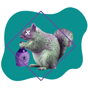 squirrel holding poison flask