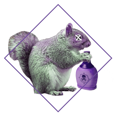 squirrel drinking from poisonous bottle